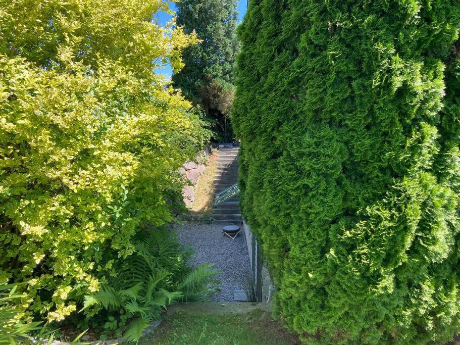 Schoene Einliegerwohnung Mit Freisitz. Ideal Fuer Geschaeftsleute Und Reisende Laufenburg Eksteriør bilde